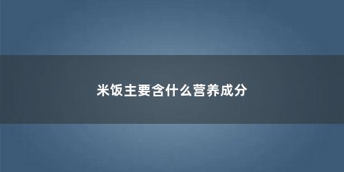 米饭主要含什么营养成分