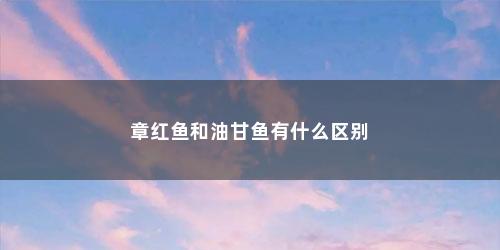 章红鱼和油甘鱼有什么区别