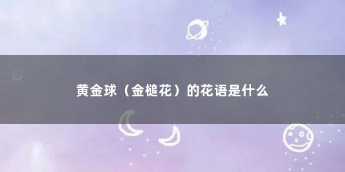 黄金球（金槌花）的花语是什么