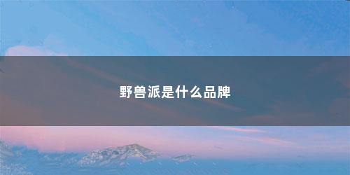 野兽派是什么品牌