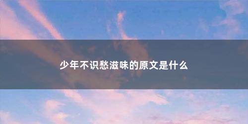 少年不识愁滋味的原文是什么