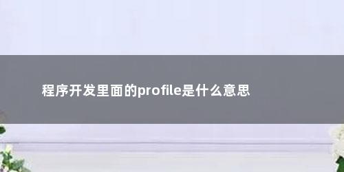 程序开发里面的profile是什么意思