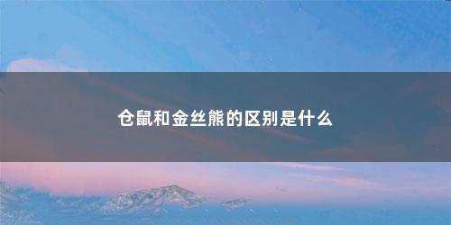 仓鼠和金丝熊的区别是什么