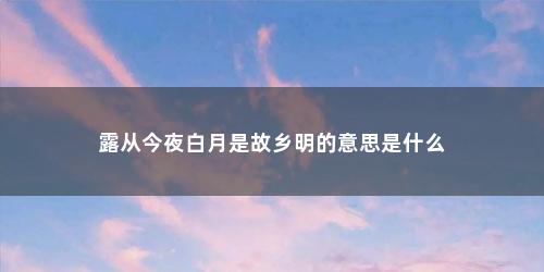 露从今夜白月是故乡明的意思是什么