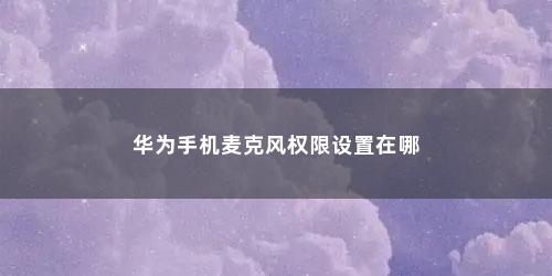 华为手机麦克风权限设置在哪