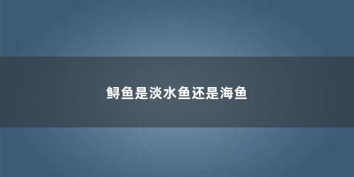 鲟鱼是淡水鱼还是海鱼