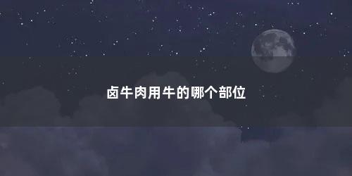 卤牛肉用牛的哪个部位