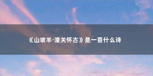 《山坡羊·潼关怀古》是一首什么诗