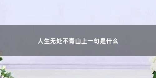 人生无处不青山上一句是什么