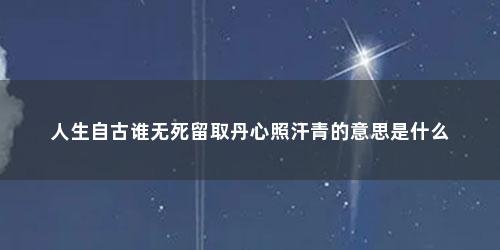 人生自古谁无死留取丹心照汗青的意思是什么