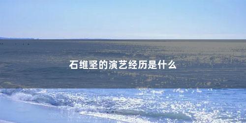 石维坚的演艺经历是什么