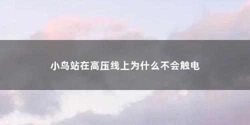 小鸟站在高压线上为什么不会触电
