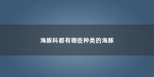 海豚科都有哪些种类的海豚