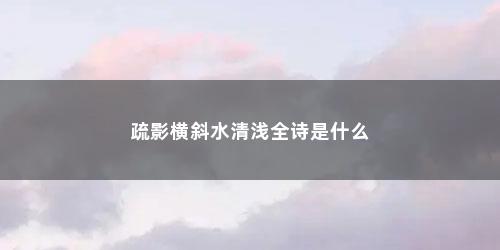 疏影横斜水清浅全诗是什么