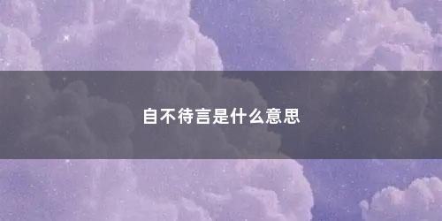 自不待言是什么意思
