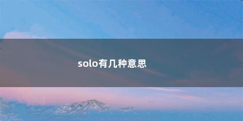 solo有几种意思