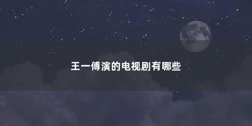 王一傅演的电视剧有哪些