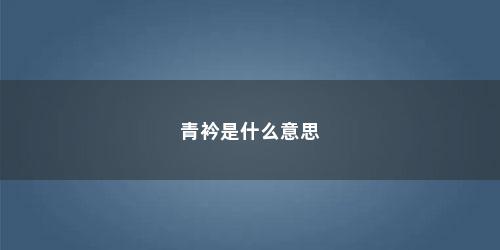 青衿是什么意思