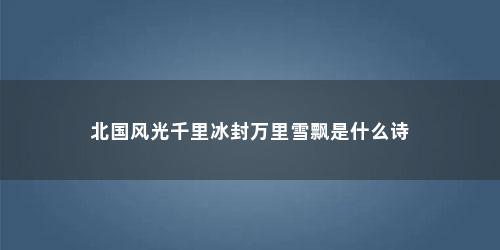 北国风光千里冰封万里雪飘是什么诗