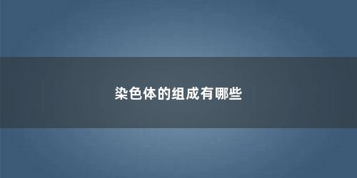 染色体的组成有哪些