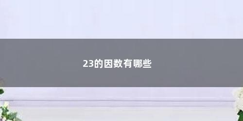23的因数有哪些