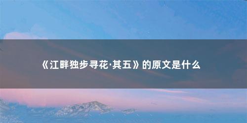 《江畔独步寻花·其五》的原文是什么