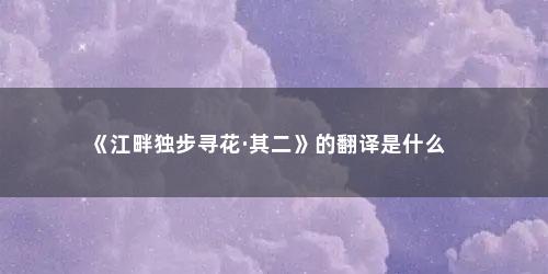 《江畔独步寻花·其二》的翻译是什么