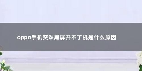 oppo手机突然黑屏开不了机是什么原因