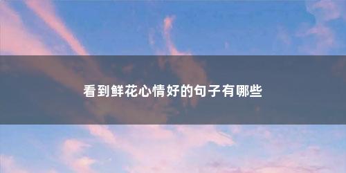 看到鲜花心情好的句子有哪些