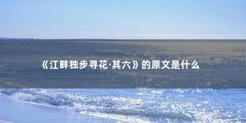 《江畔独步寻花·其六》的原文是什么