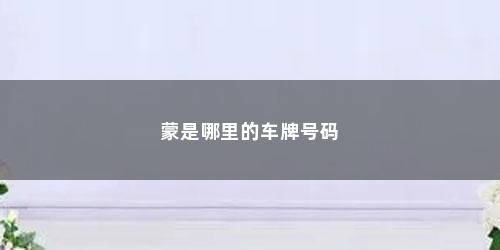 蒙是哪里的车牌号码