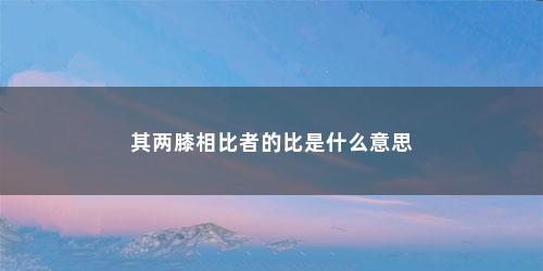 其两膝相比者的比是什么意思