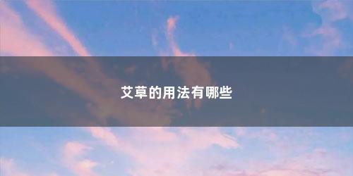 艾草的用法有哪些