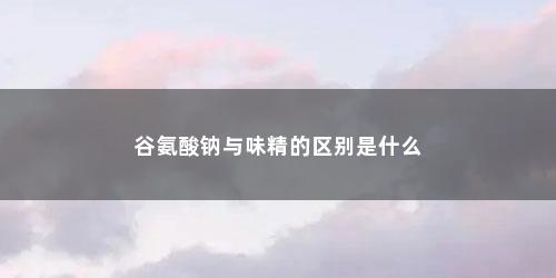 谷氨酸钠与味精的区别是什么