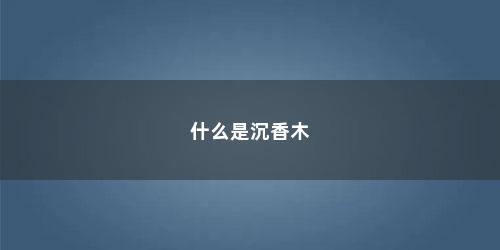 什么是沉香木