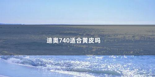 迪奥740适合黄皮吗