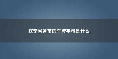 辽宁省各市的车牌字母是什么