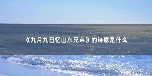 《九月九日忆山东兄弟》的诗意是什么