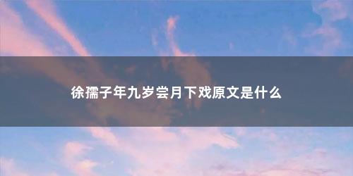 徐孺子年九岁尝月下戏原文是什么