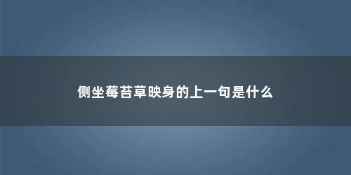侧坐莓苔草映身的上一句是什么