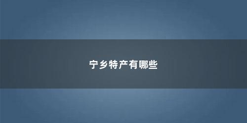 宁乡特产有哪些