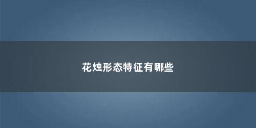 花烛形态特征有哪些