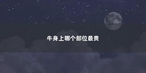 牛身上哪个部位最贵