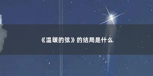 《温暖的弦》的结局是什么