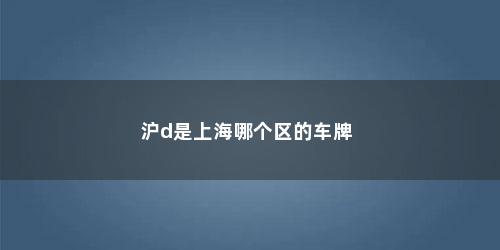 沪d是上海哪个区的车牌