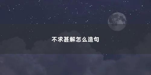 不求甚解怎么造句