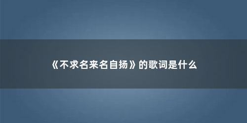 《不求名来名自扬》的歌词是什么