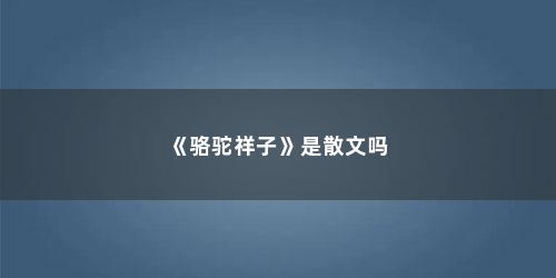《骆驼祥子》是散文吗