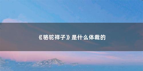 《骆驼祥子》是什么体裁的