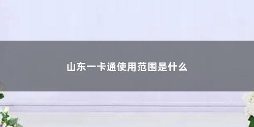 山东一卡通使用范围是什么